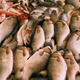 Fish market / Gregg_TLV